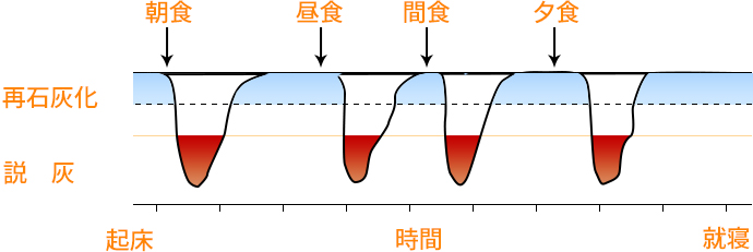 脱灰と再石灰化のサイクル